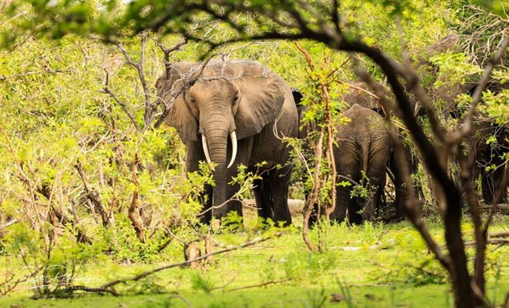 Why Tanzania Safari Holidays Aren't Cheap